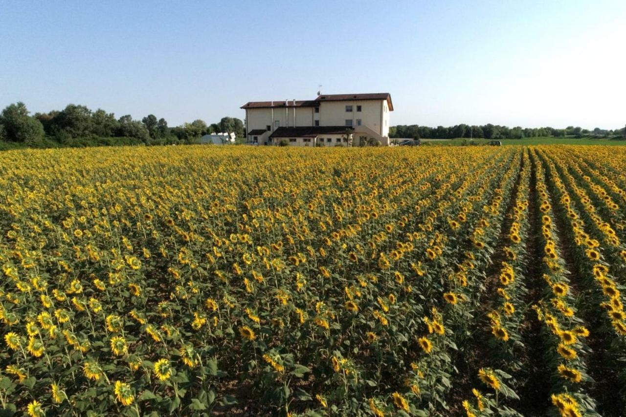 Willa Al Cavaliere Pordenone Zewnętrze zdjęcie